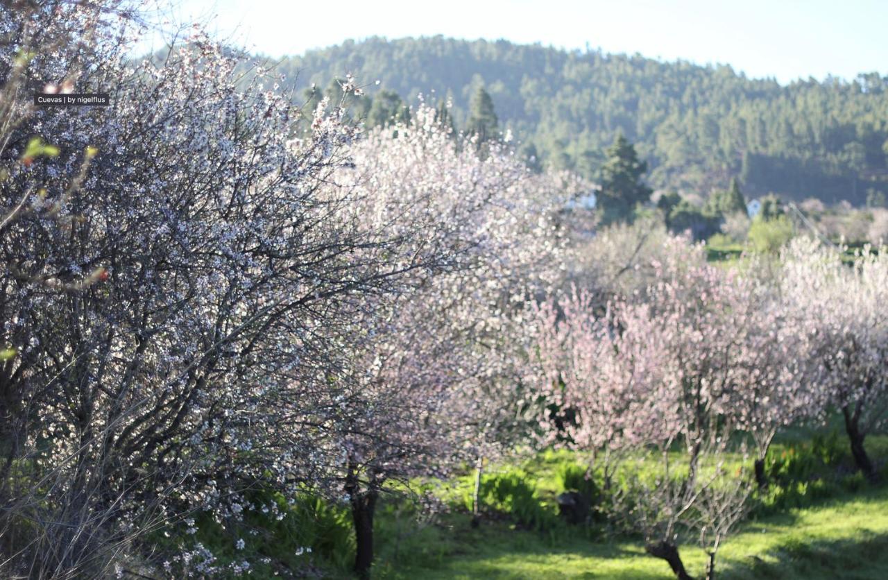 Casa Micaela Hébergement de vacances Garafía
